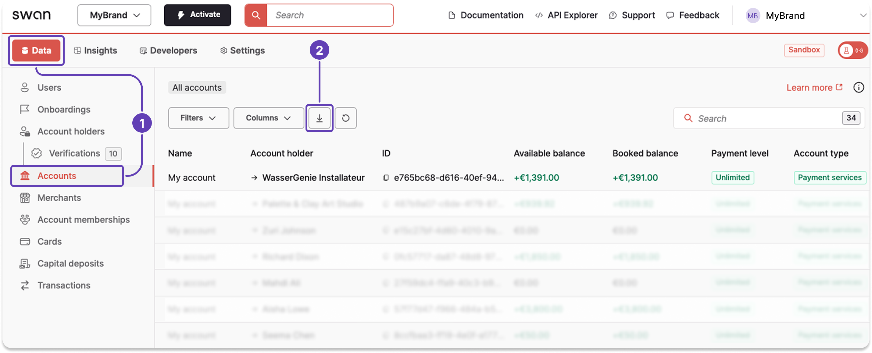 Screenshot of Swan Dashboard account holders page with a callout download icon to trigger an export